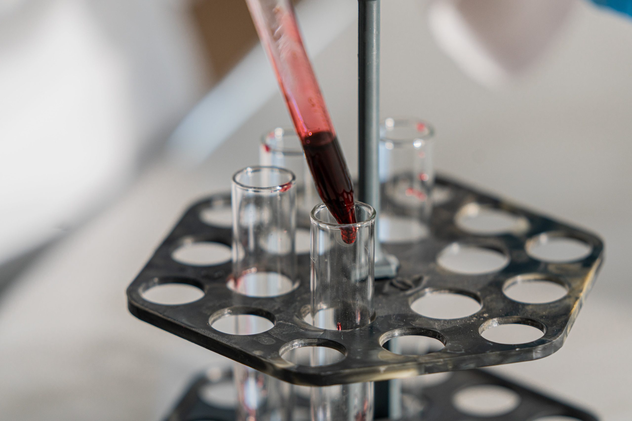 Blood tubes in veterinary lab